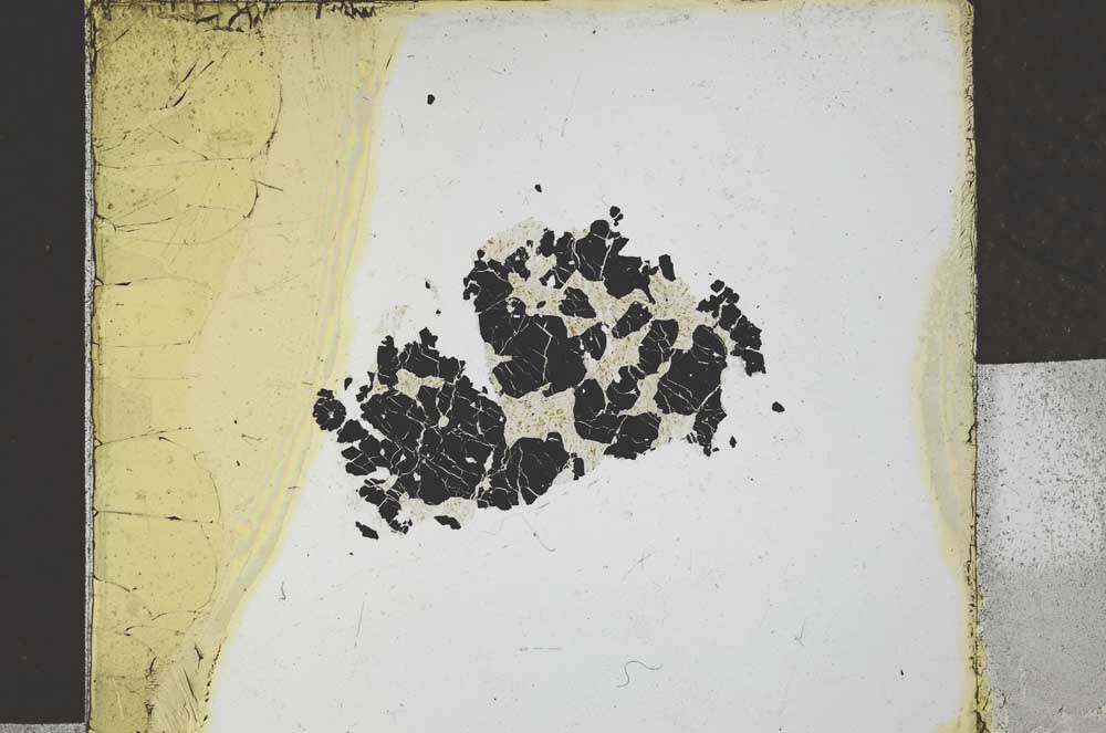 Plane Polarized, S27108