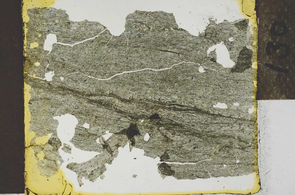Plane Polarized, S27134