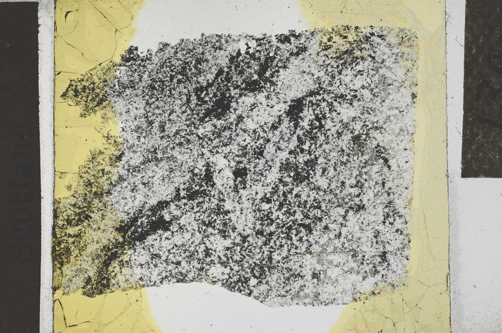 Plane Polarized, S27135