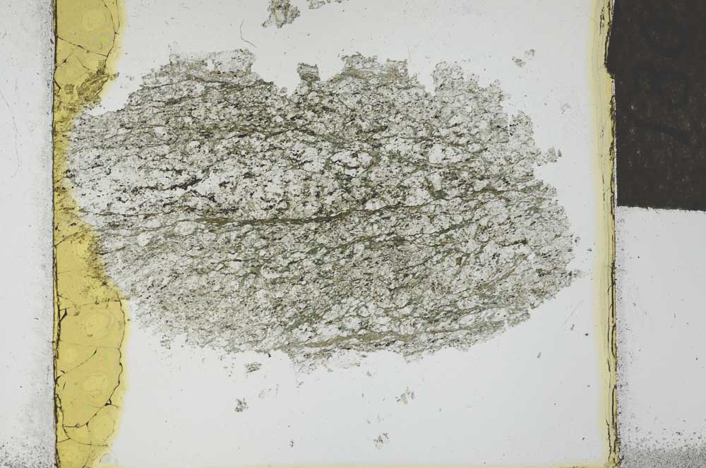 Plane Polarized, S27137