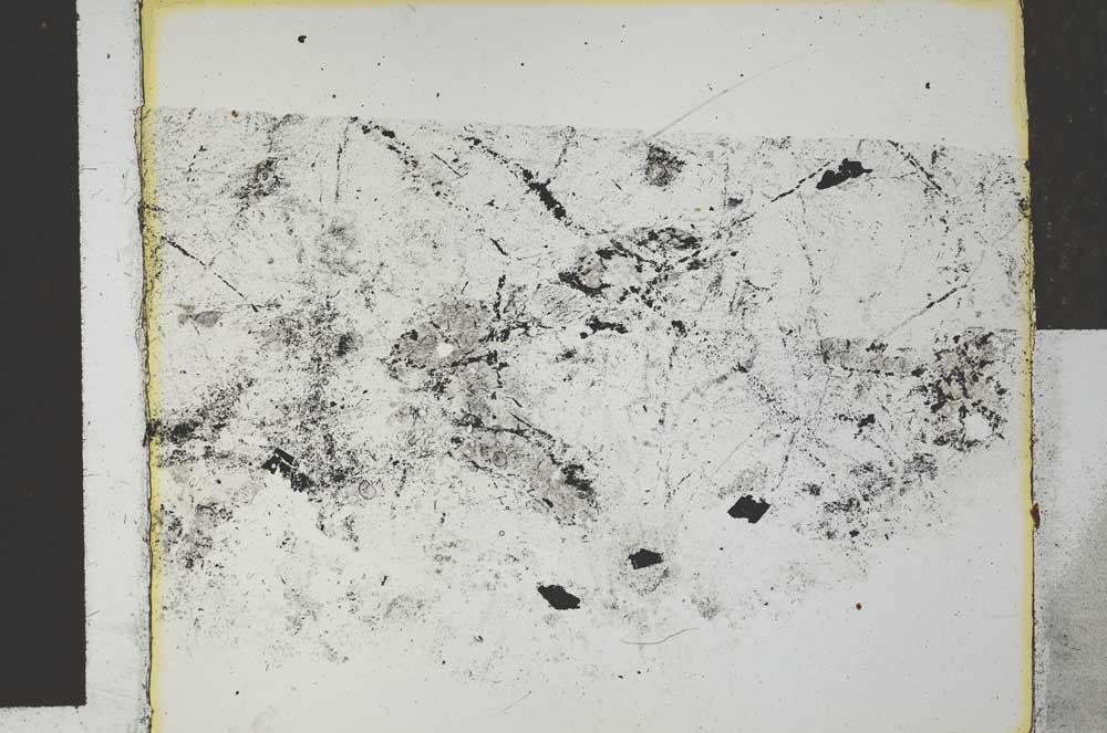 Plane Polarized, S27142