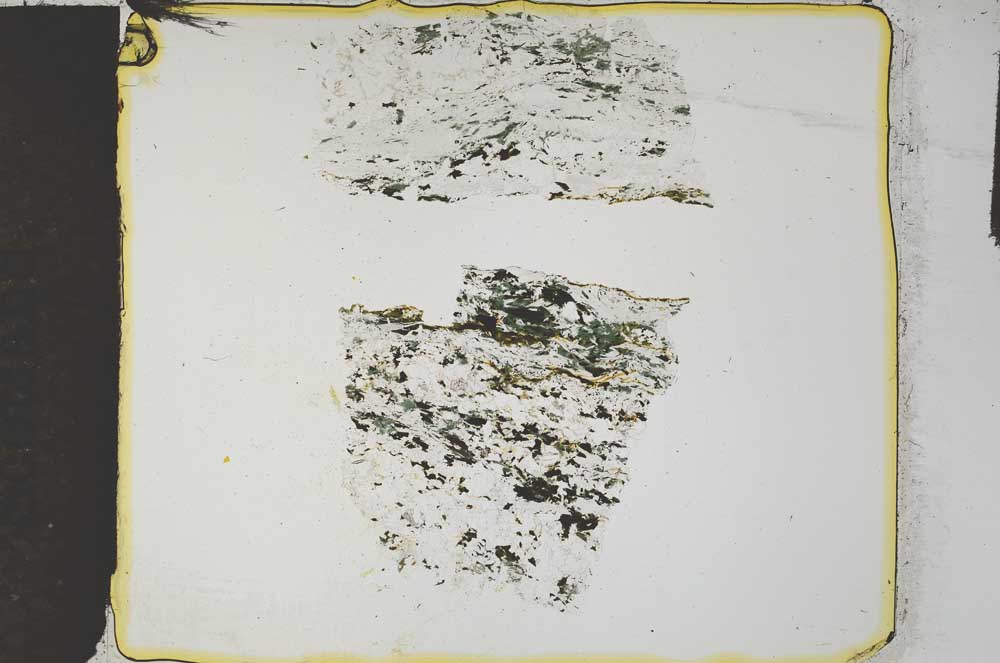 Plane Polarized, S27161