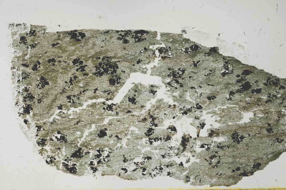 Plane Polarized, S27165