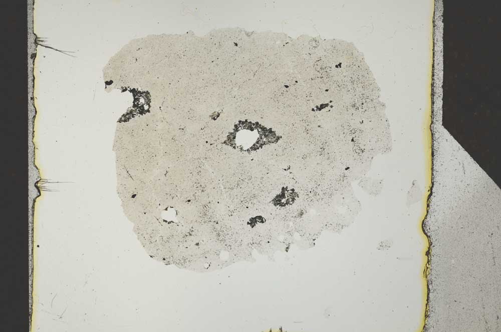 Plane Polarized, S27183