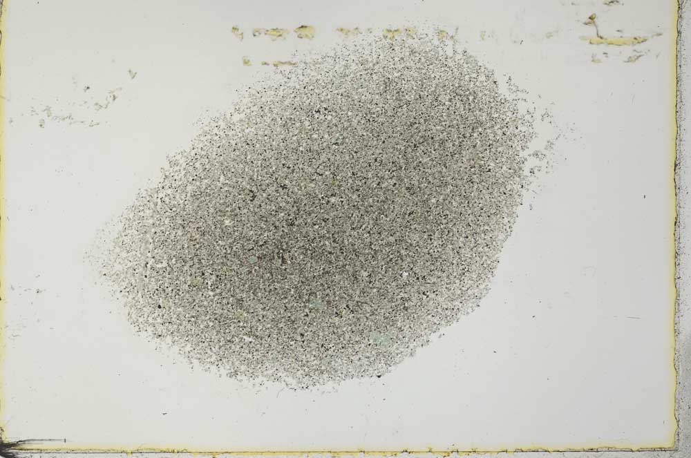 Plane Polarized, S27195