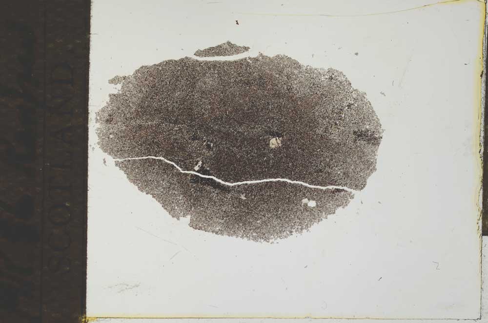 Plane Polarized, S27206