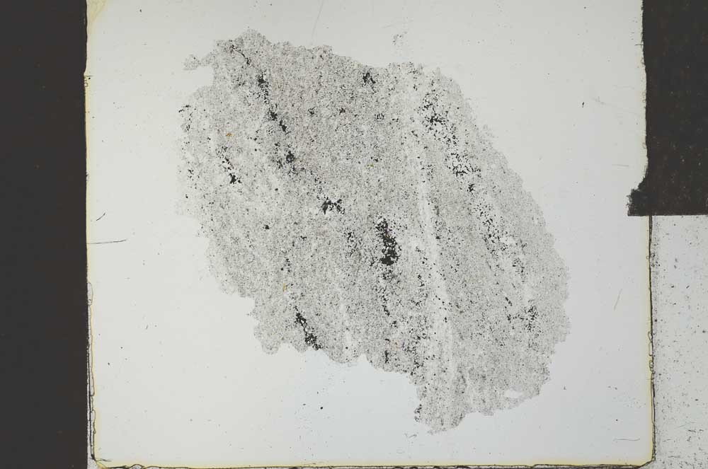 Plane Polarized, S27209