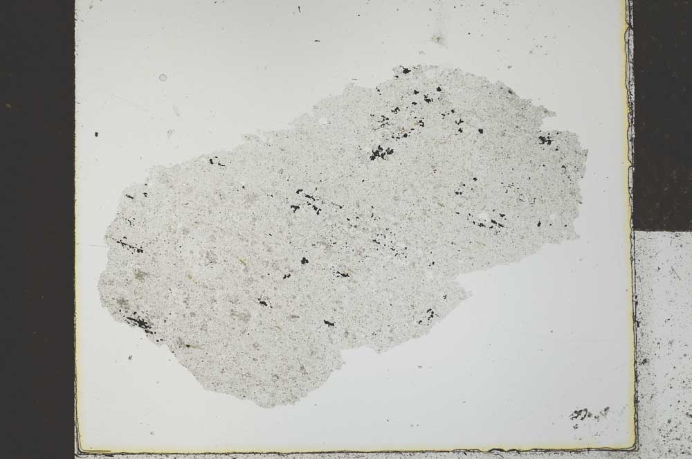 Plane Polarized, S27210