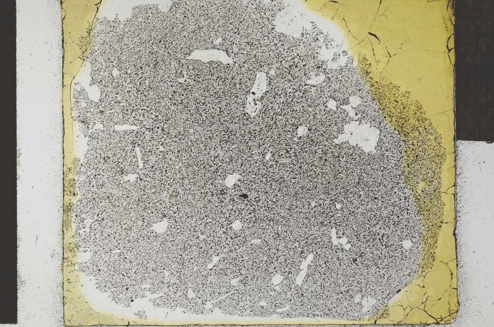 Plane Polarized, S27219