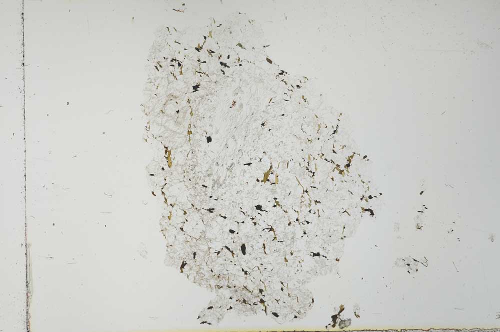 Plane Polarized, S27221