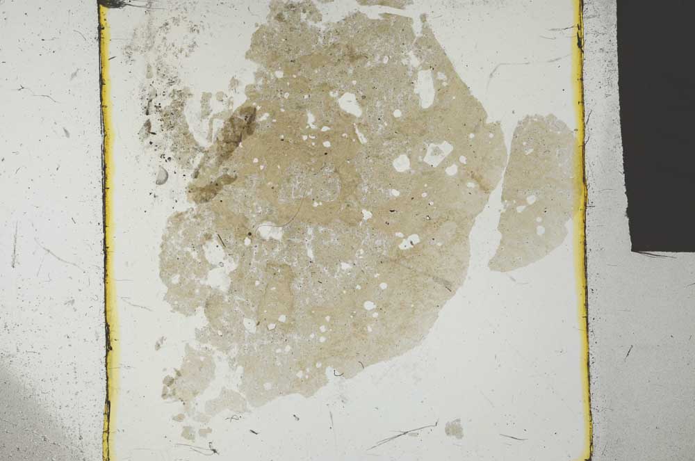 Plane Polarized, S27224