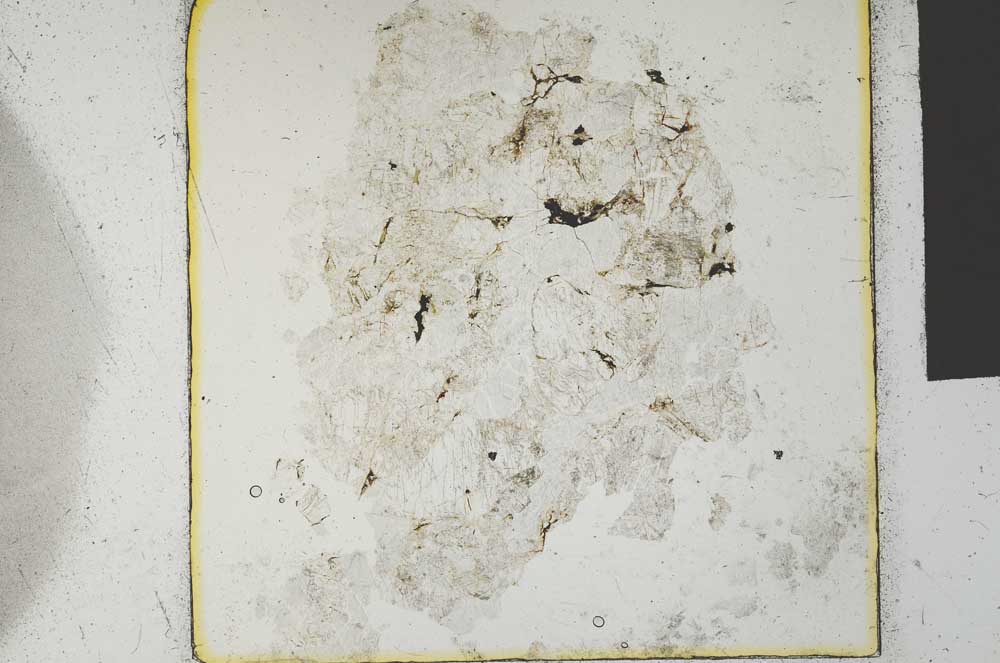 Plane Polarized, S27230