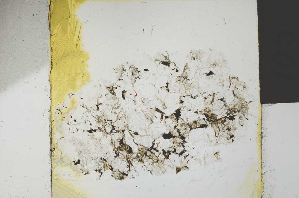 Plane Polarized, S27231