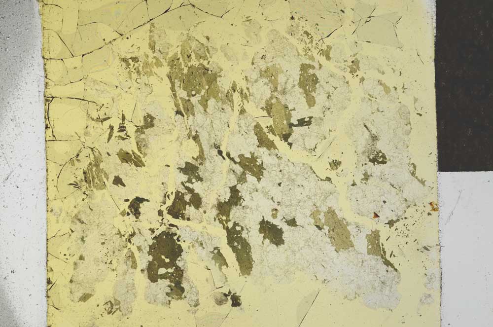 Plane Polarized, S27242