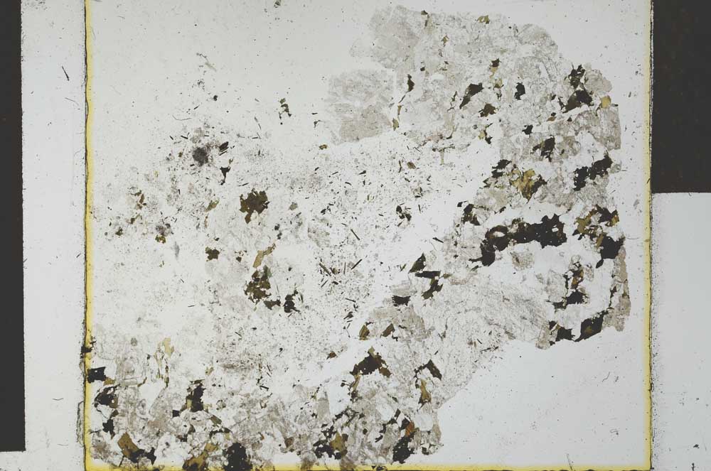 Plane Polarized, S27256
