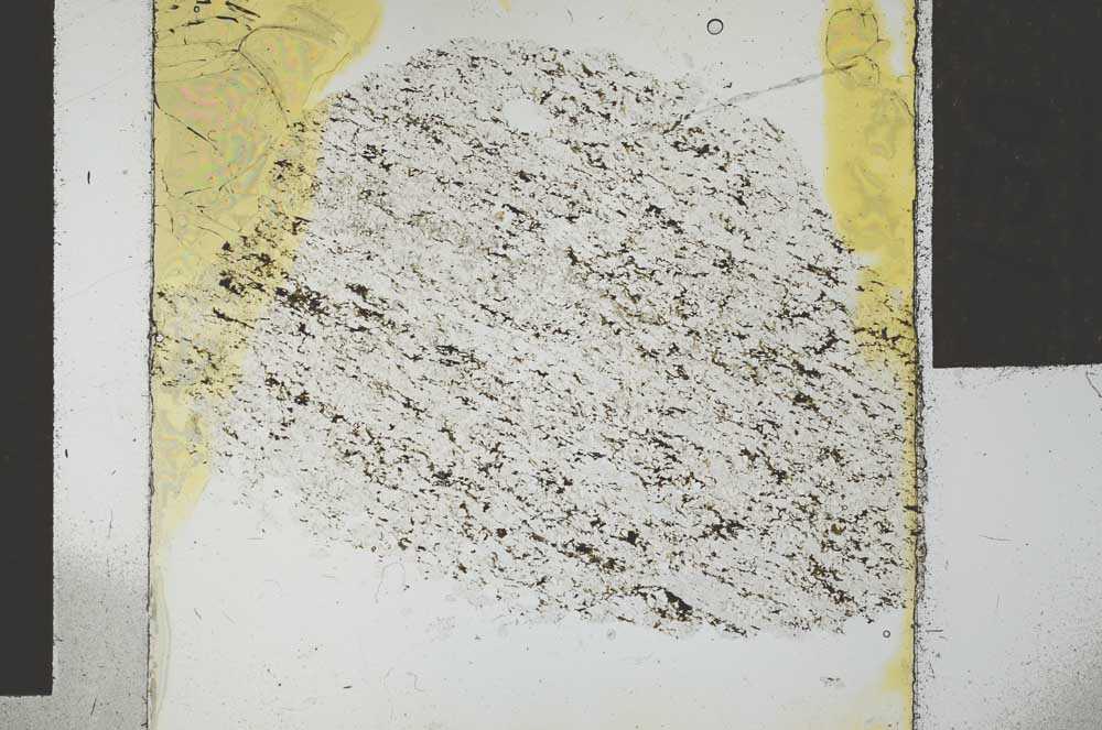 Plane Polarized, S27261