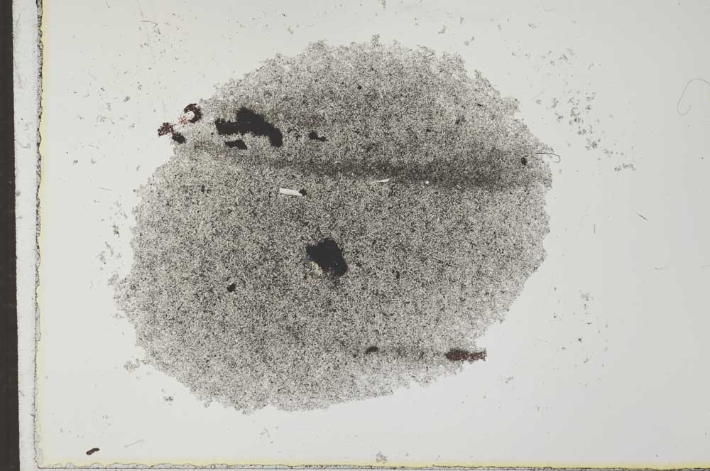 Plane Polarized, S27296