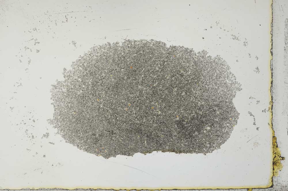 Plane Polarized, S27298