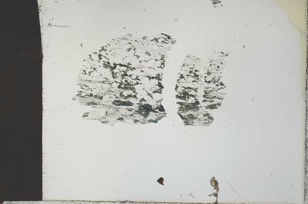 Plane Polarized, S27308