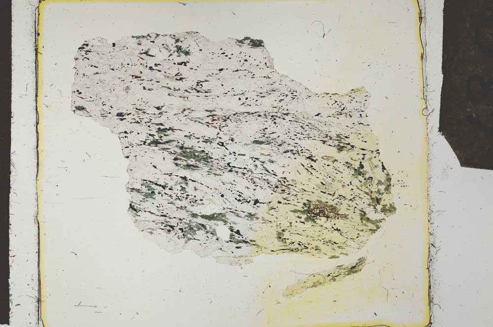 Plane Polarized, S27310