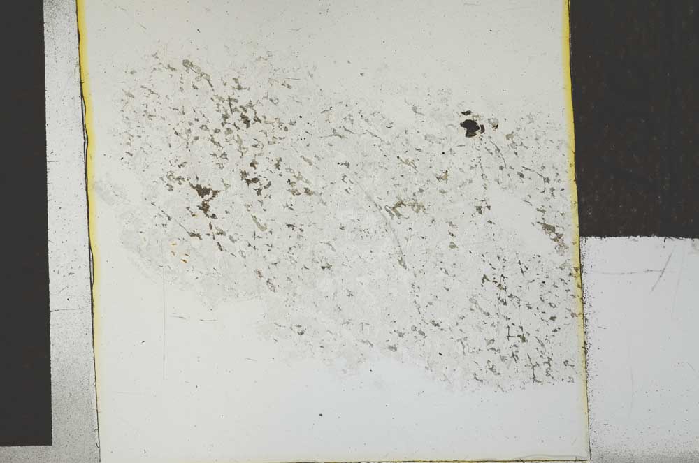 Plane Polarized, S27313