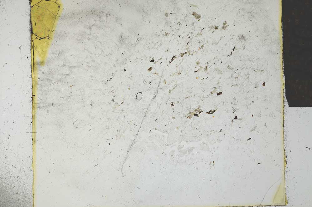 Plane Polarized, S27317
