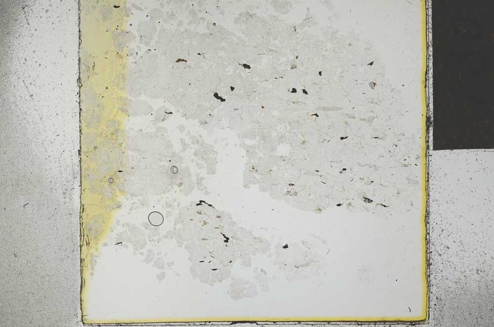 Plane Polarized, S27317/A