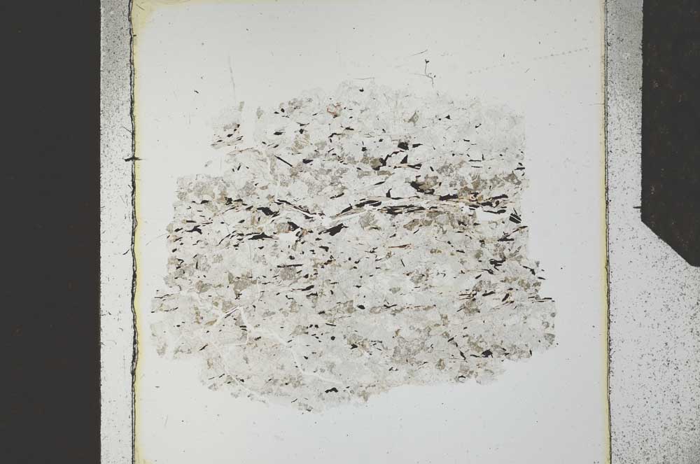Plane Polarized, S27319