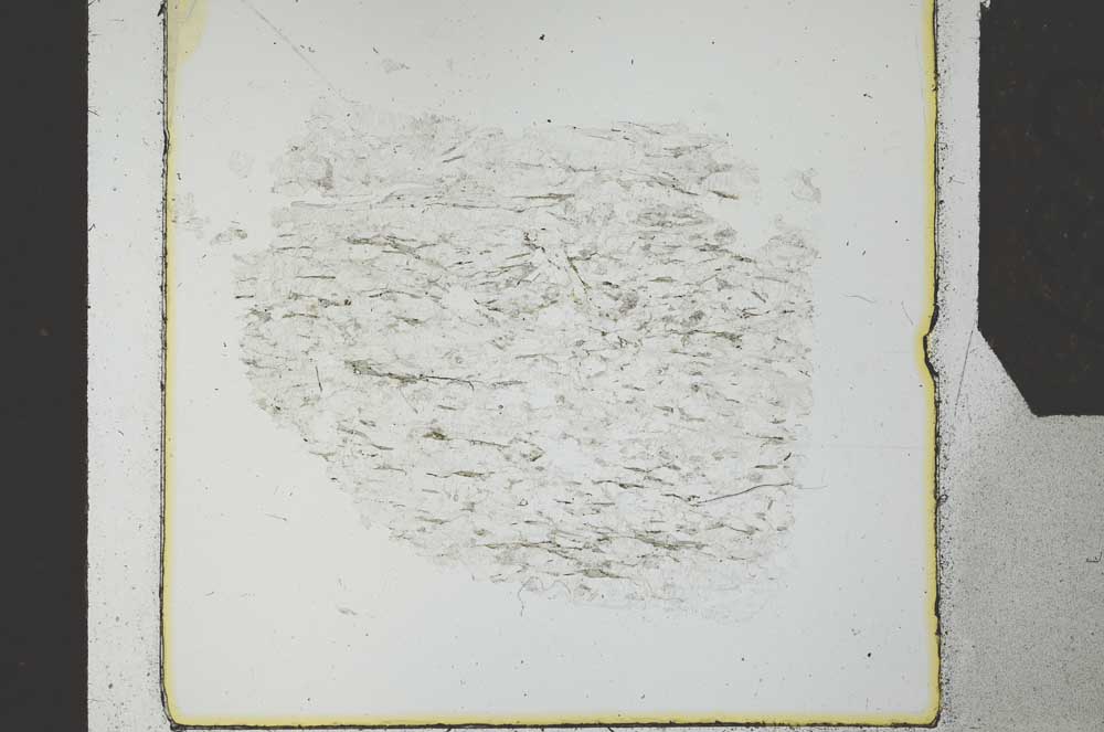 Plane Polarized, S27322