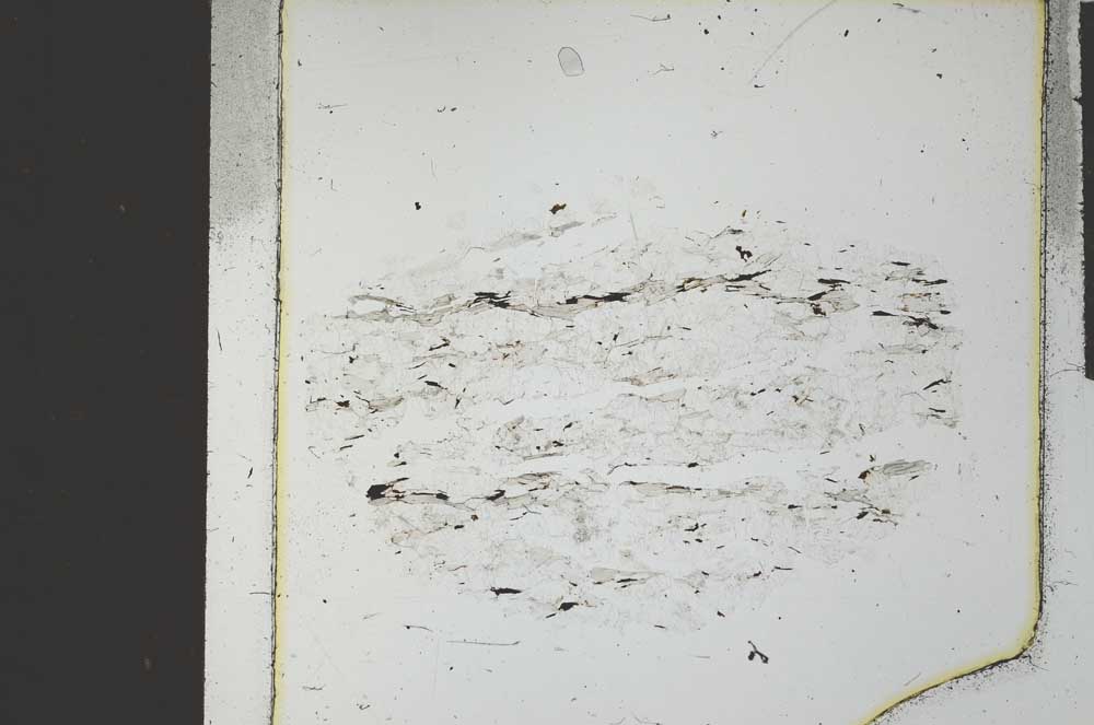 Plane Polarized, S27323