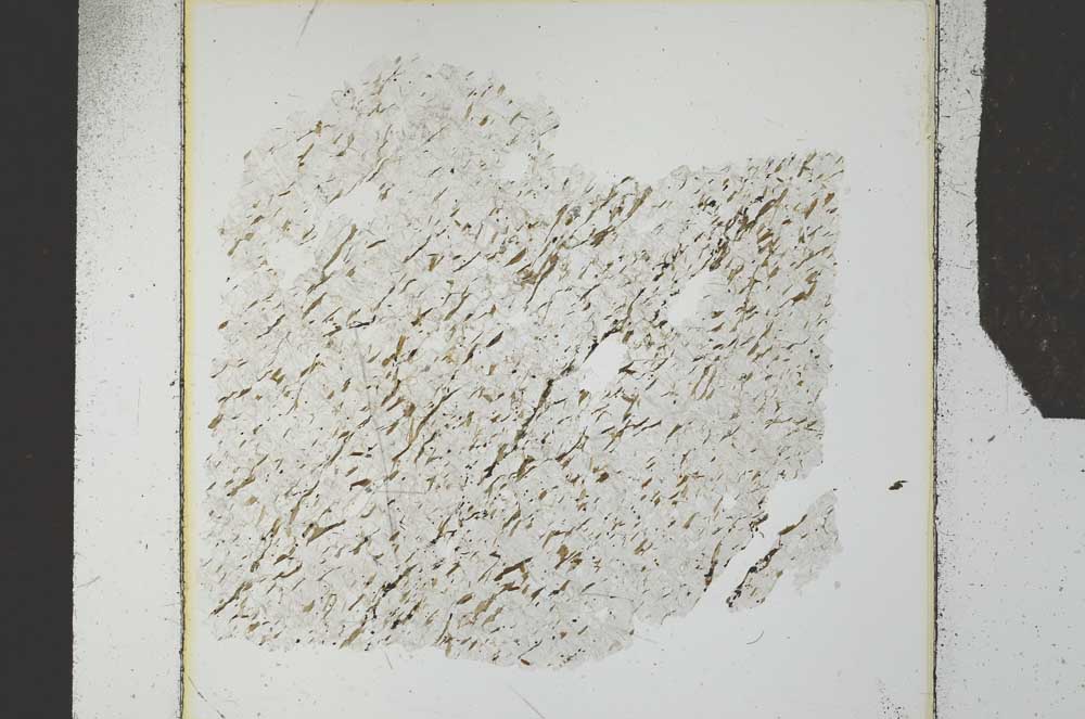 Plane Polarized, S27324