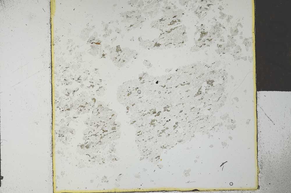 Plane Polarized, S27327