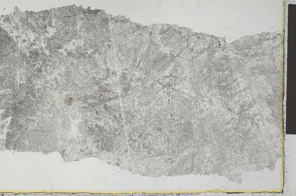 Plane Polarized, S27337