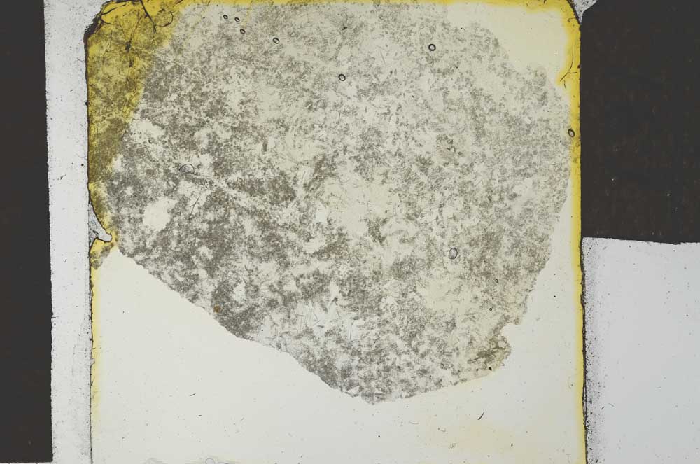 Plane Polarized, S27343