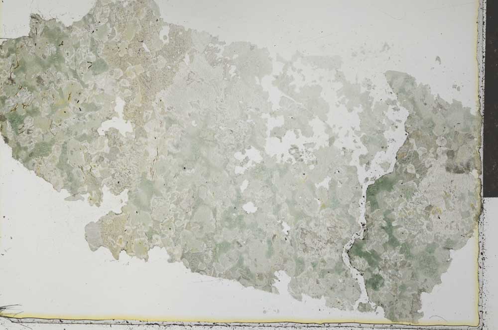 Plane Polarized, S27344
