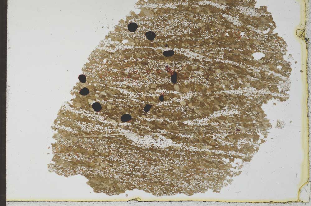 Plane Polarized, S27363