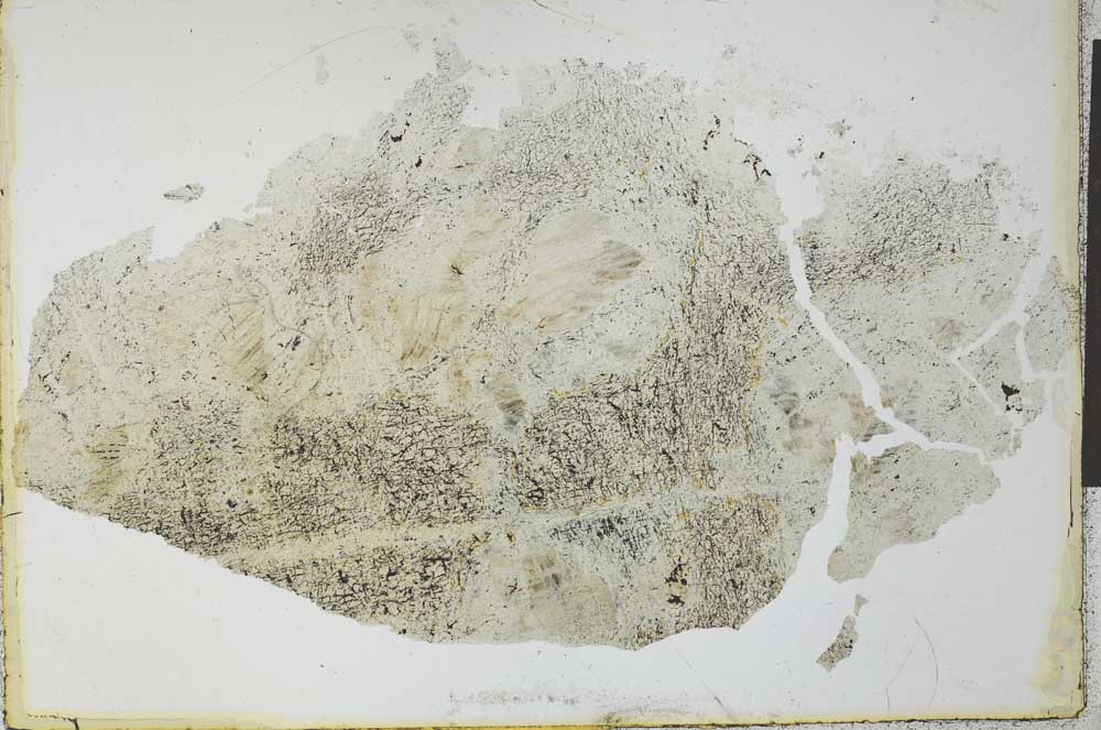 Plane Polarized, S27369