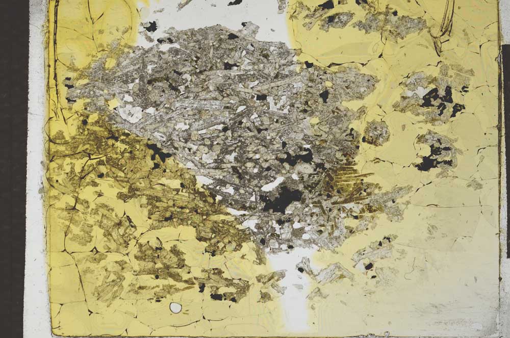 Plane Polarized, S27387