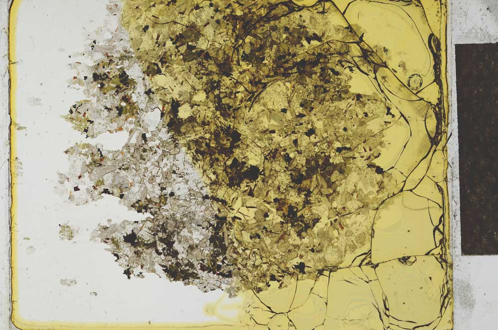 Plane Polarized, S27394