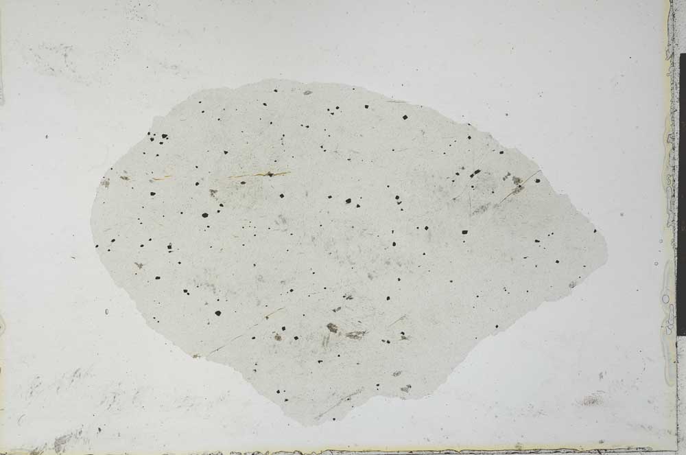 Plane Polarized, S27396