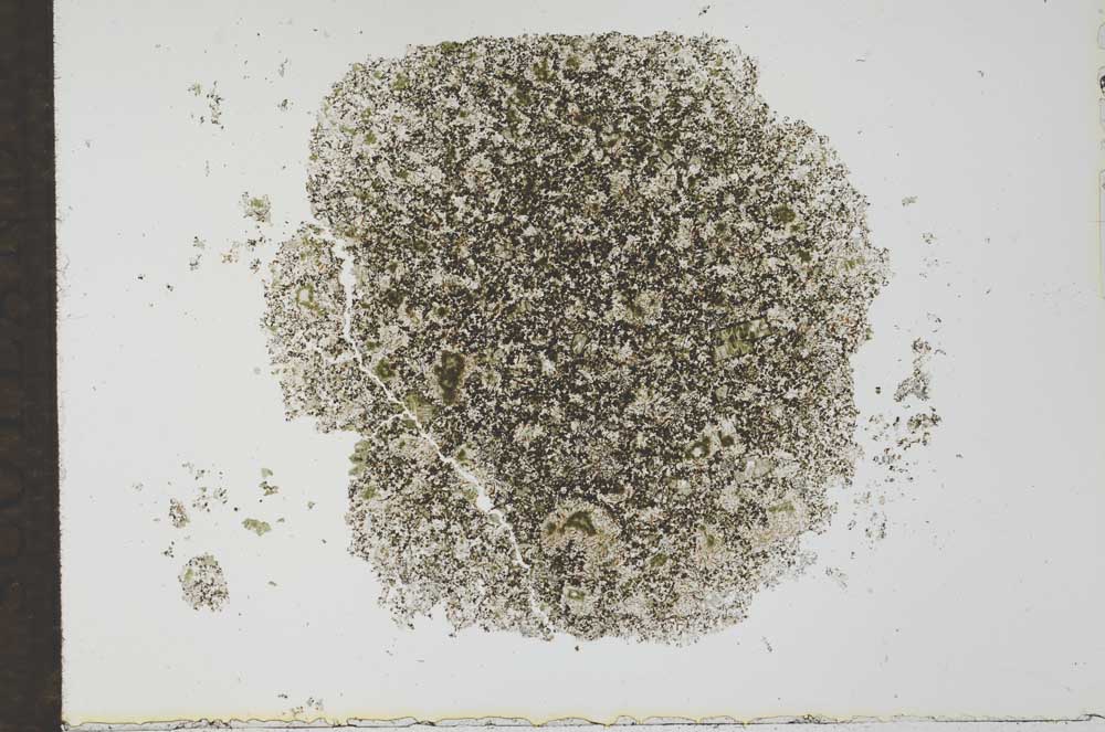 Plane Polarized, S27398