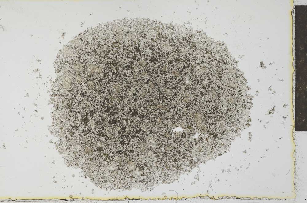 Plane Polarized, S27399