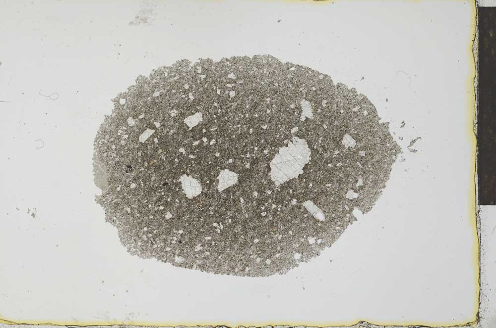 Plane Polarized, S27402