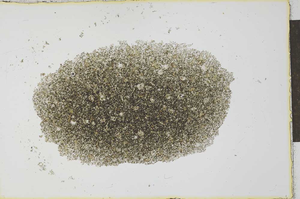 Plane Polarized, S27425