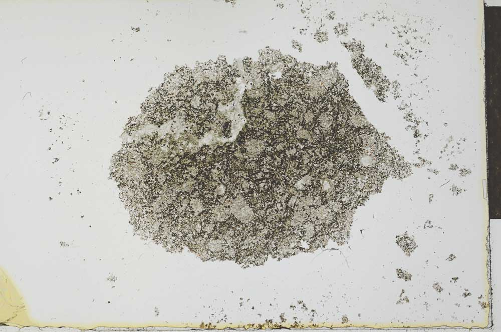 Plane Polarized, S27434