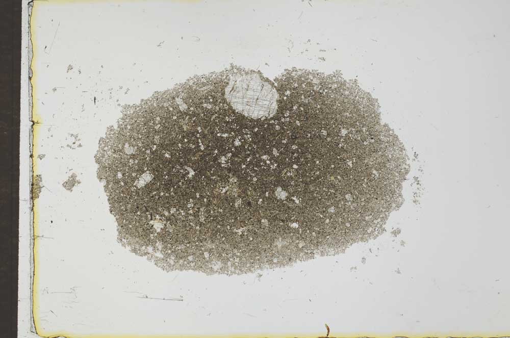 Plane Polarized, S27461