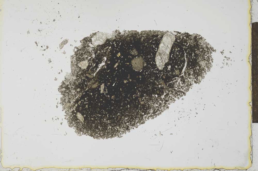 Plane Polarized, S27463