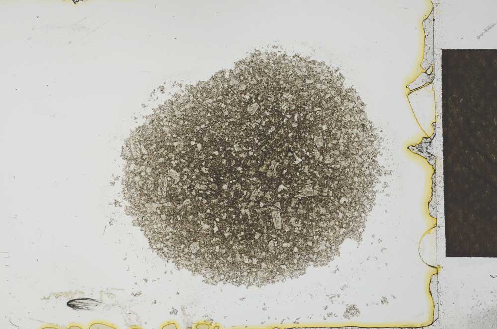 Plane Polarized, S27466