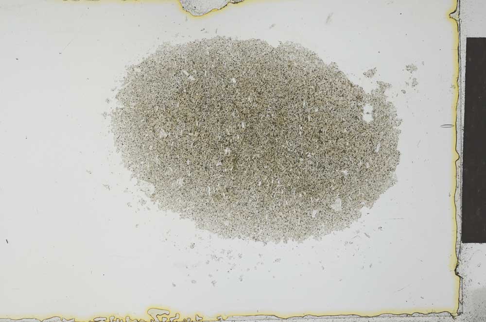 Plane Polarized, S27478