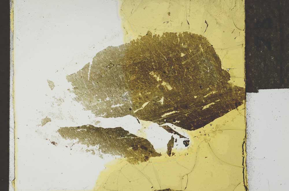 Plane Polarized, S27485